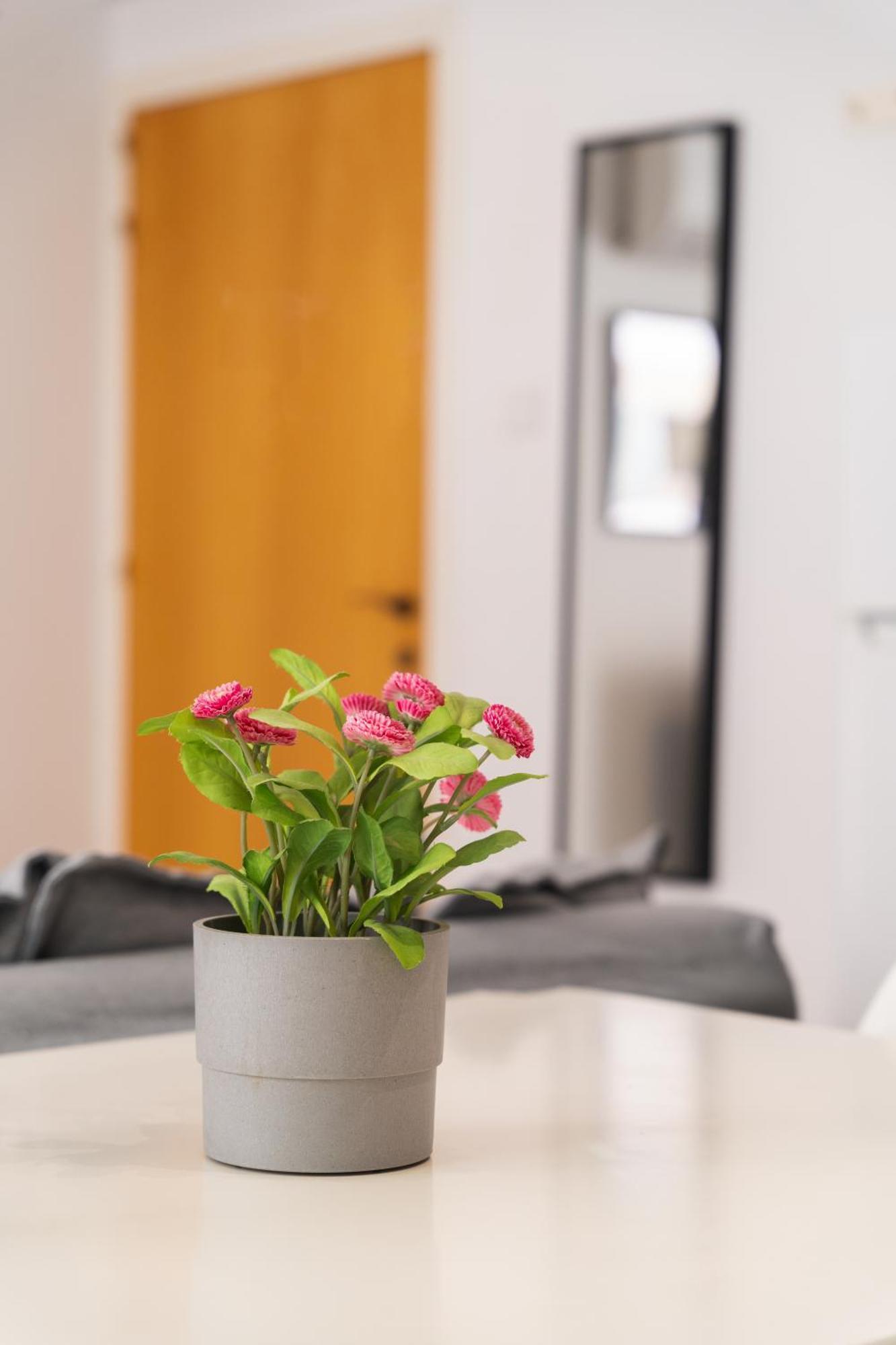 Kave Blue Mackenzie 1 Bdr Flat With Pool Apartment Larnaca Luaran gambar